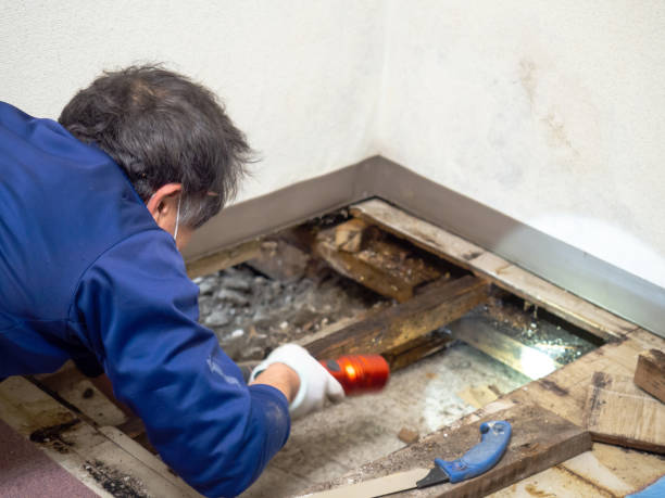 Best Water Damage Restoration  in Pine Ridge, PA