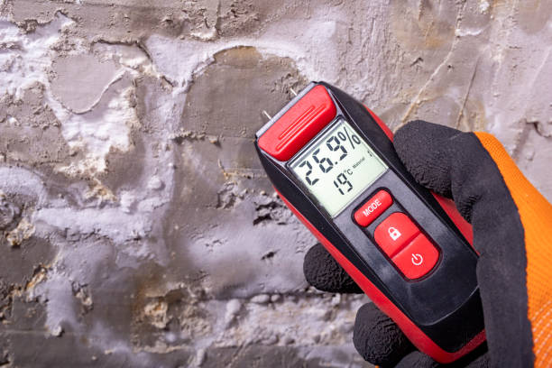 Best Home Mold Removal  in Pine Ridge, PA