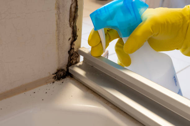 Best Residential Mold Removal  in Pine Ridge, PA